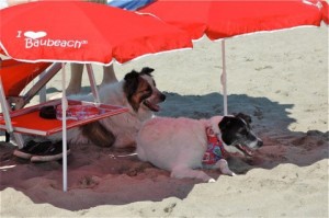 baubeach